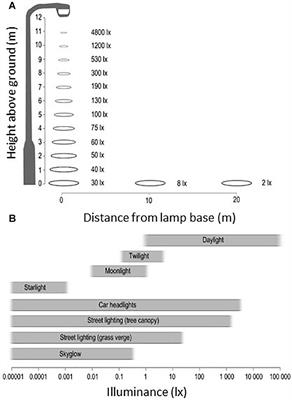 Exposure to Artificial Light at Night and the Consequences for Flora, Fauna, and Ecosystems